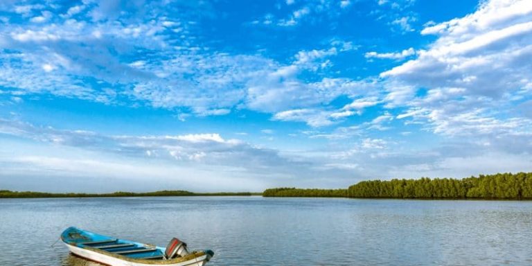 Sénégal : Dans les Niayes, la rareté de l'eau incite les citoyens à s ...