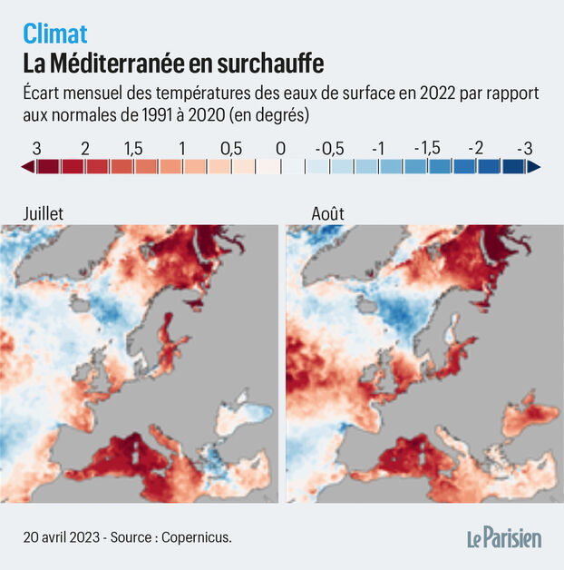 découvrez les canicules marines, un phénomène climatique croissant impactant nos océans. apprenez-en davantage sur leurs causes, conséquences et comment elles affectent la biodiversité marine et les écosystèmes. renseignez-vous sur les actions à entreprendre pour préserver notre environnement marin face à ces défis.