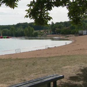 découvrez pourquoi la baignade est interdite en moselle en raison des cyanobactéries. informez-vous sur les risques pour la santé et les mesures de prévention à prendre pour garantir votre sécurité dans les eaux.