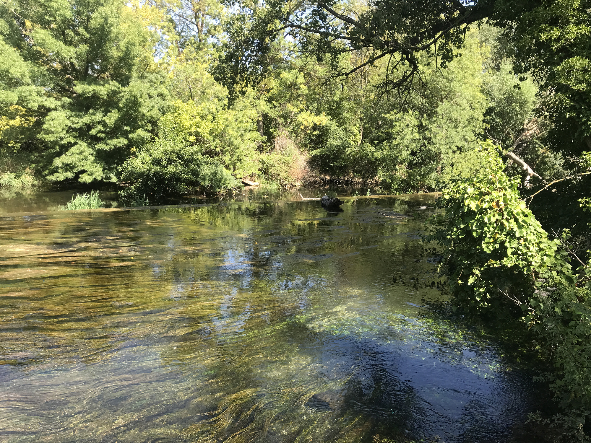 découvrez les dernières informations sur les restrictions d'eau à castelnau. restez informé des mesures en place pour préserver nos ressources en eau et comment elles impactent votre quotidien.