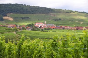 découvrez comment la sécheresse affecte la viticulture en alsace, ses impacts sur les vignes et les solutions innovantes mises en place par les vignerons pour préserver la qualité de leurs vins.