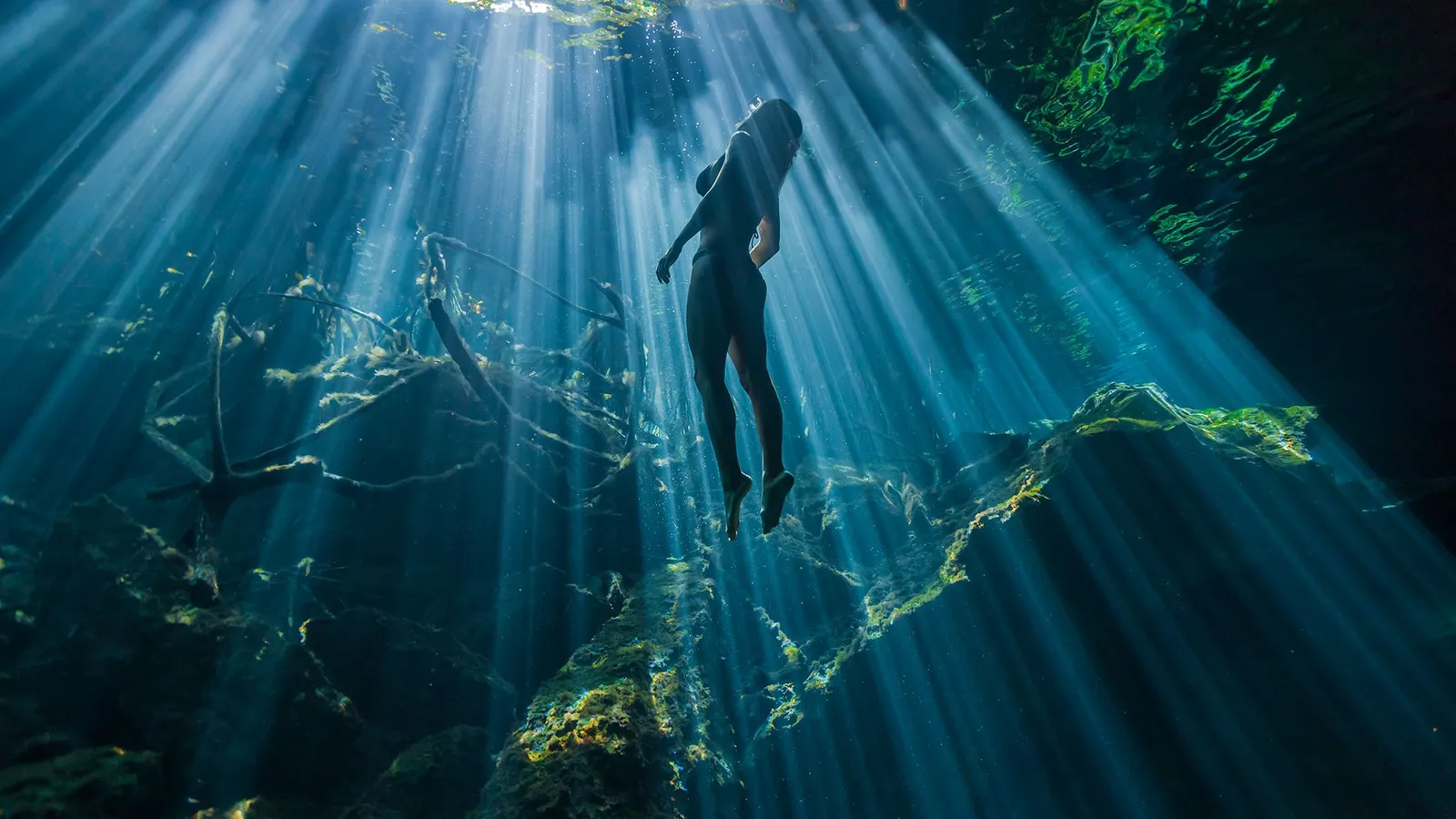 plongez dans la beauté sous-marine et découvrez la richesse des paysages aquatiques, la faune colorée et les merveilles cachées des fonds marins.