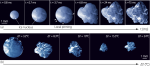 découvrez l'évolution de l'eau à travers le temps, de sa formation sur terre à son rôle essentiel dans la vie et les écosystèmes, ainsi que les enjeux environnementaux actuels.