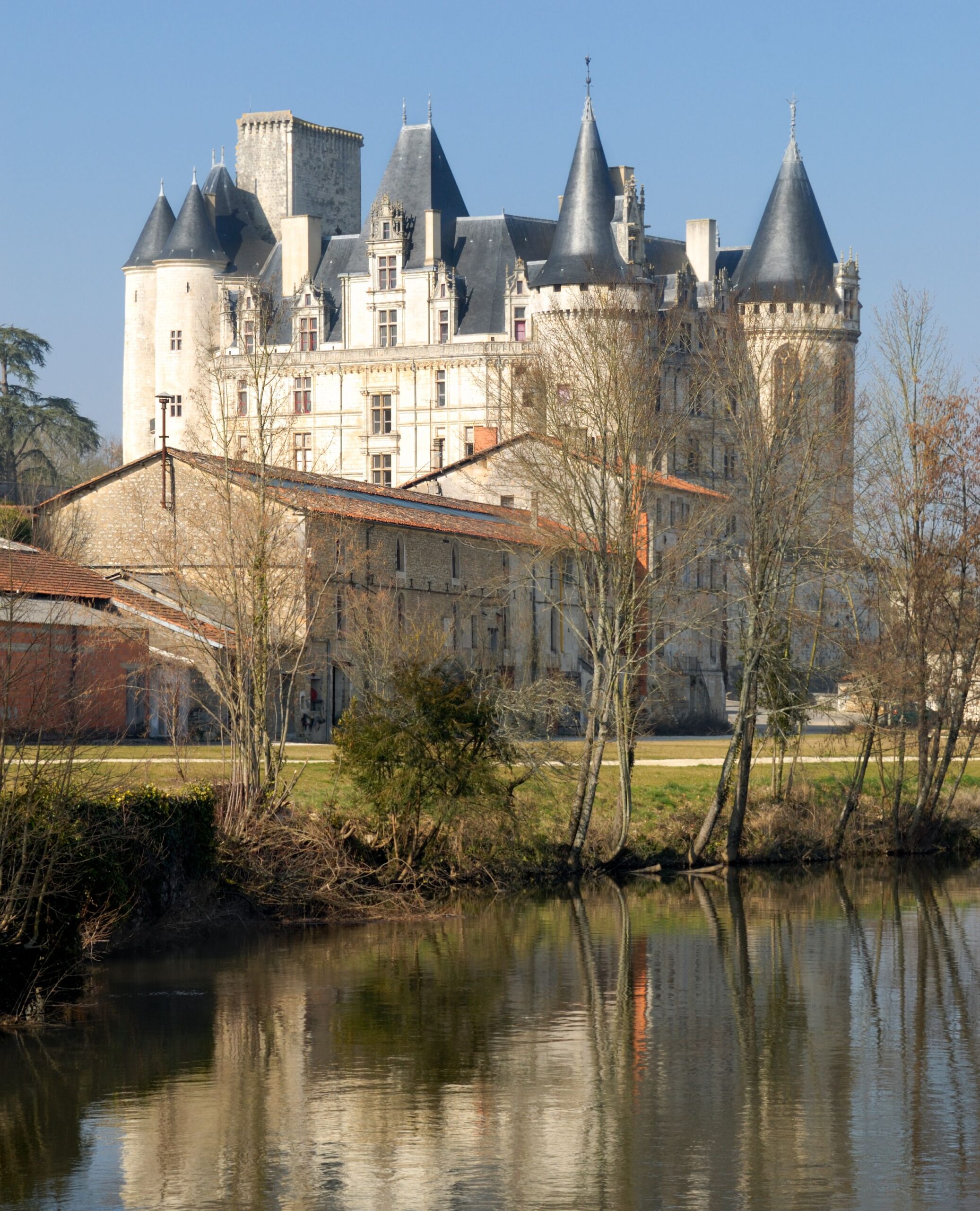 découvrez le résumé du match entre le nautic club angérien et les libellules : ambiance sportive, performances et moments forts de cette rencontre de natation incontournable.