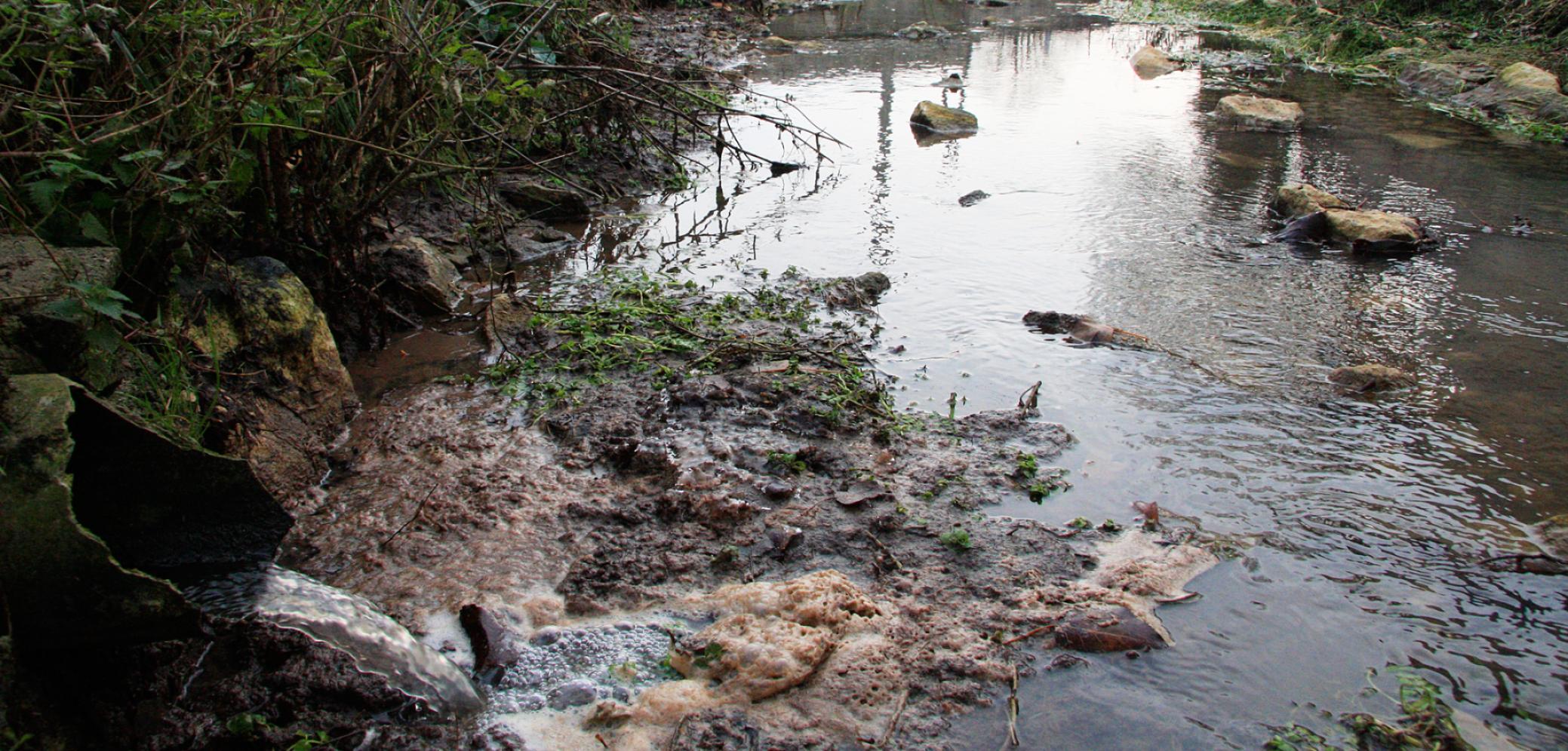 participez à la course pour la préservation de l'eau face aux défis du temps et de la pollution. découvrez des solutions durables pour protéger cette ressource vitale.