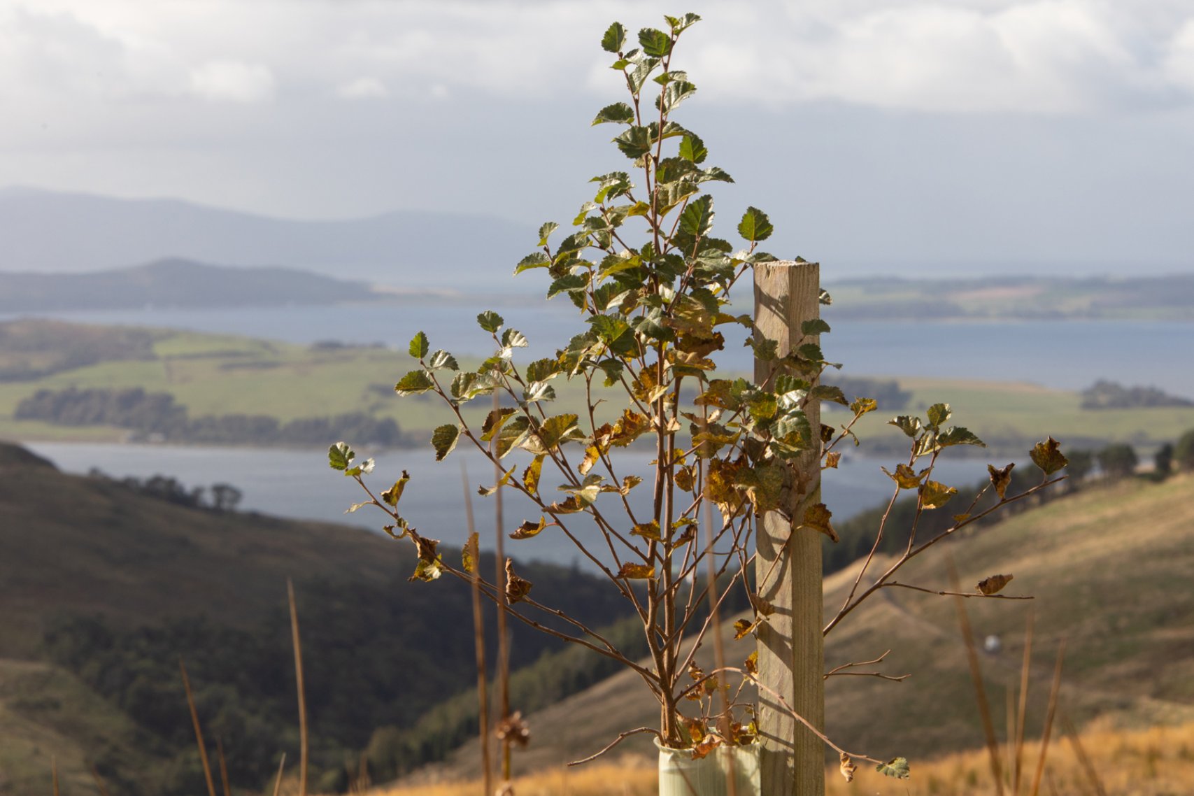 analyse des défis liés aux pénuries d'eau au royaume-uni et leur impact sur l'atteinte de la neutralité carbone, avec des solutions durables pour un avenir écologique.