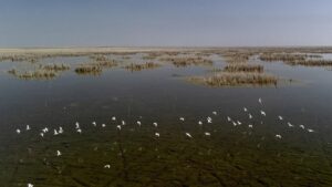découvrez comment l'irak met en place un accord innovant entre les secteurs pétrolier et de l'eau pour faire face à la sécheresse et gérer durablement ses ressources naturelles.