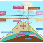 découvrez comment localiser l'eau cachée efficacement grâce à nos méthodes innovantes et faciles à appliquer. trouvez les sources d'eau dissimulées rapidement et avec précision.