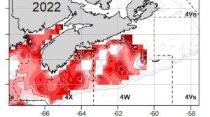 découvrez les informations essentielles sur la surcharge d'expédition entre le sud de l'europe et le canada en période de basses eaux. optimisez vos coûts et planifiez vos envois efficacement.