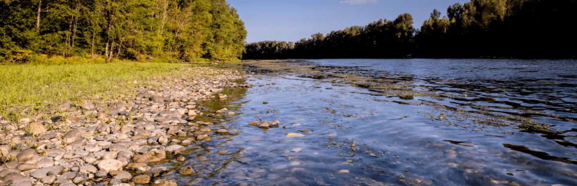 découvrez les enjeux et solutions face à la crise de l'eau potable en haute-garonne, une région confrontée à des défis majeurs pour assurer l'accès à une eau saine et durable.