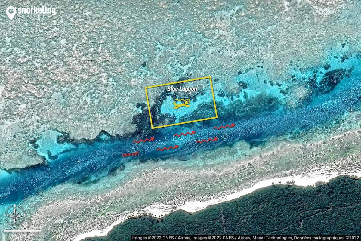 découvrez les efforts de la chine dans la lutte contre la schistosomiase à zanzibar, une initiative importante pour améliorer la santé publique locale.