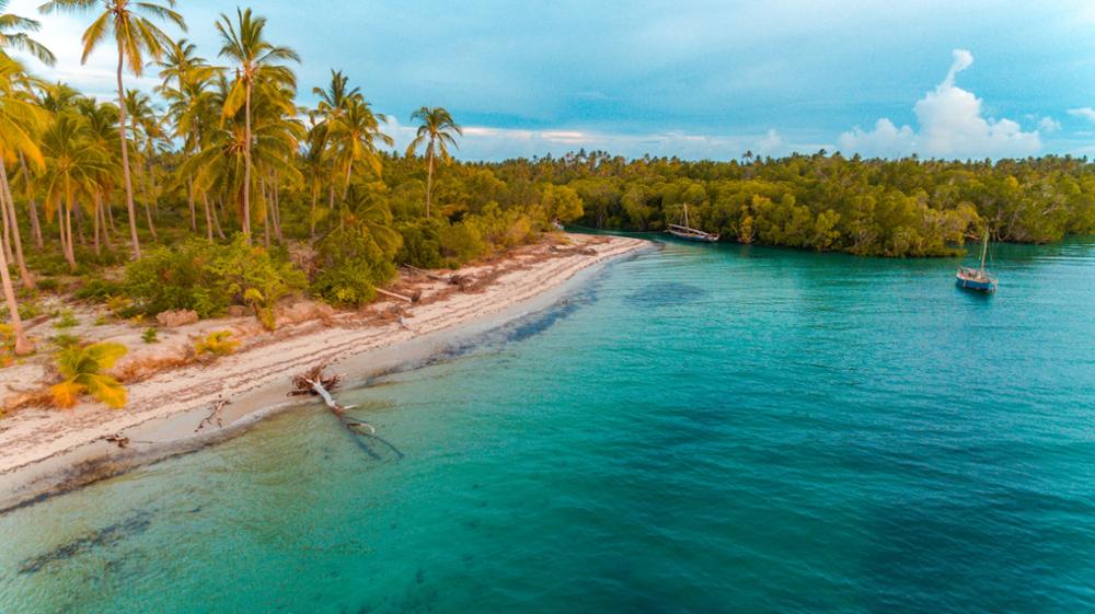 découvrez les efforts et stratégies de la chine pour combattre la schistosomiase à zanzibar, améliorant la santé publique et réduisant la propagation de cette maladie parasitaire.