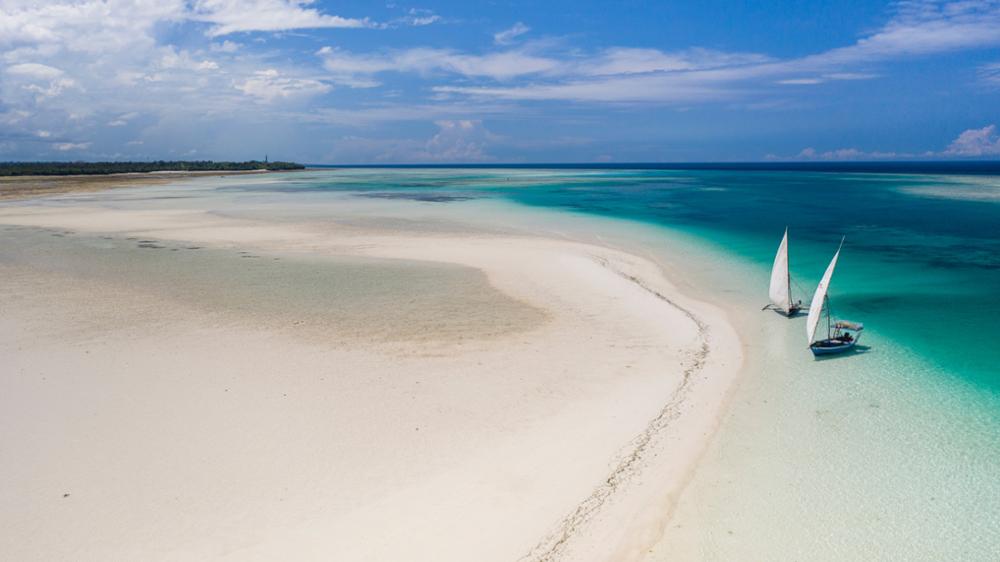 découvrez les efforts de la lutte chinoise contre la schistosomiase à zanzibar, visant à éradiquer cette maladie parasitaire grâce à des stratégies innovantes et une coopération internationale renforcée.