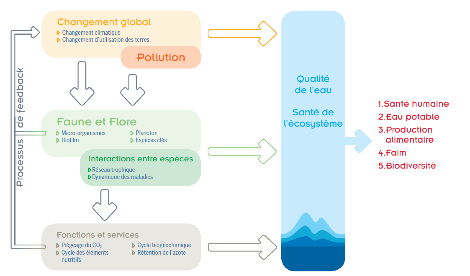 découvrez les principaux polluants présents dans l'eau potable à toulouse, leurs sources et les solutions pour garantir une eau saine et sûre pour tous.