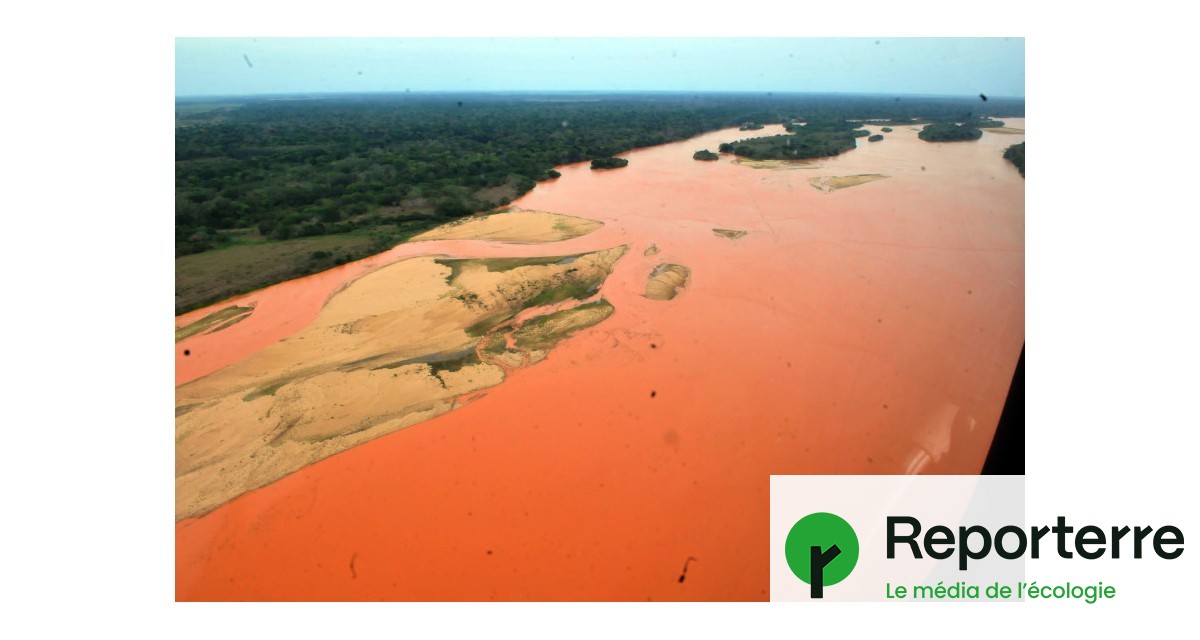 découvrez les causes, les impacts et les solutions face à la crise de l'eau au brésil, un enjeu environnemental et social majeur.