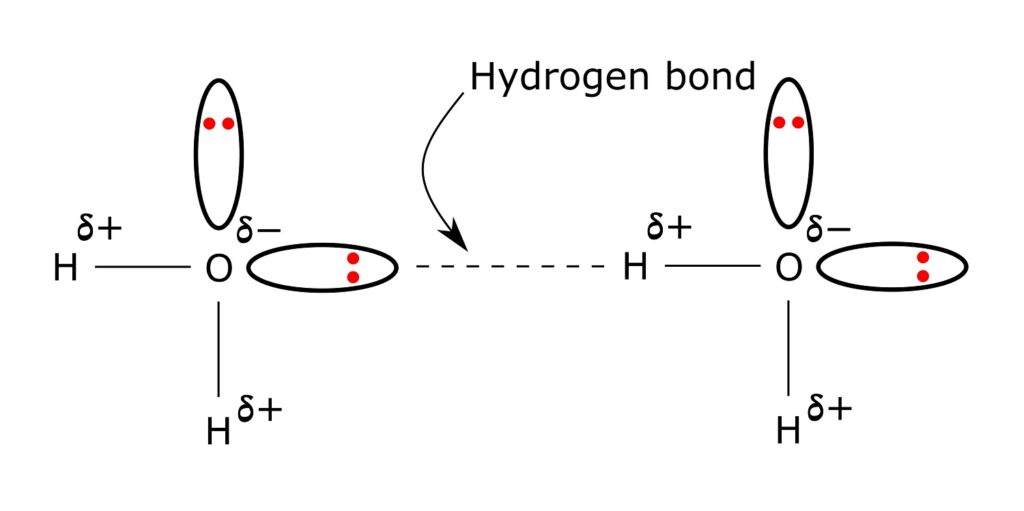 explorez les relations complexes entre les ordres concurrents des liaisons hydrogène et les anomalies uniques de la tension superficielle de l'eau, révélant des propriétés essentielles pour les sciences physiques et chimiques.