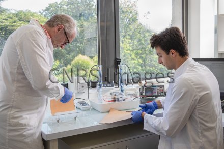 découvrez ilion water, une innovation révolutionnaire dans le dessalement de l'eau, offrant des solutions durables et efficaces pour un accès facilité à l'eau potable.